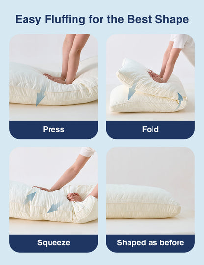 PostureAlign Basic Body Pillow